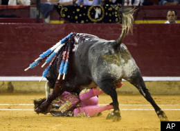Juan Jose Padilla, Spain Bullfighter, Suffers Terrifying Face Goring