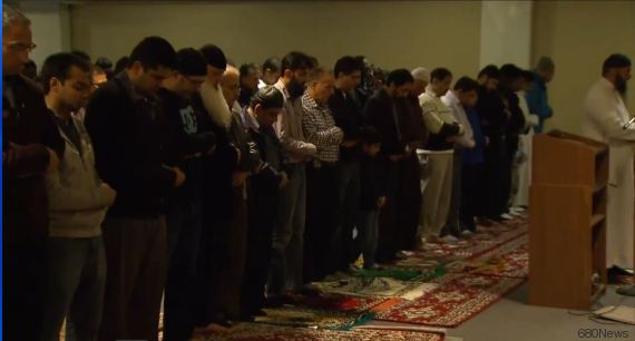 o-MOSQUEE-570.jpg?6