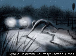 Alien Big Cats Roaming British Fields?