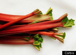 Rhubarb