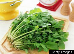 Arugula