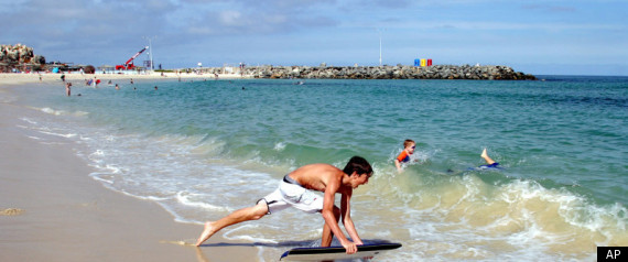 Shark Attack
