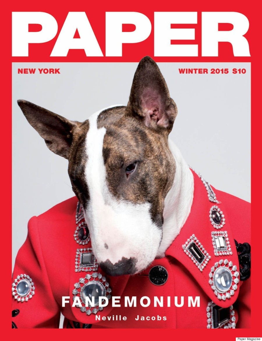 neville jacobs paper magazine