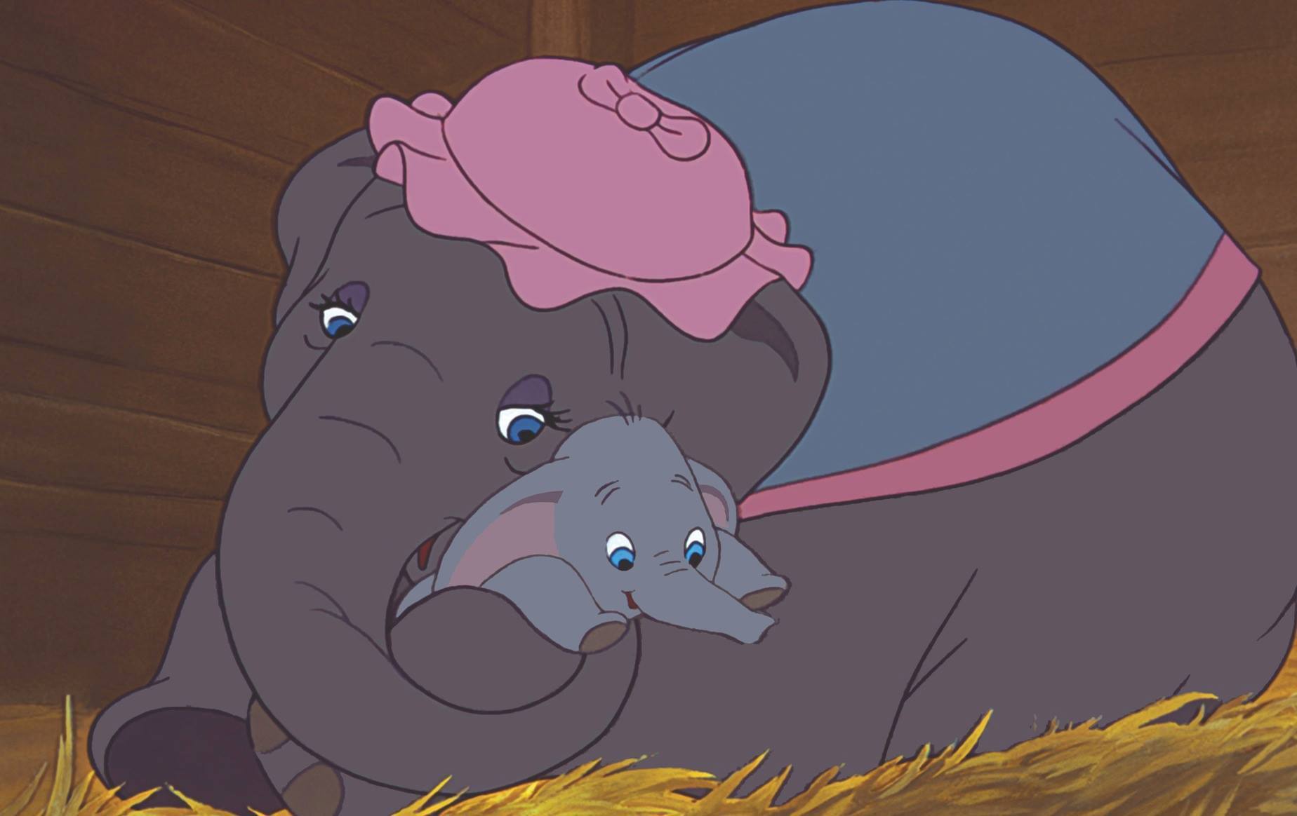 dumbo elephant