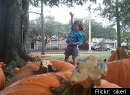 Fall In Denver: Best Harvest Activities