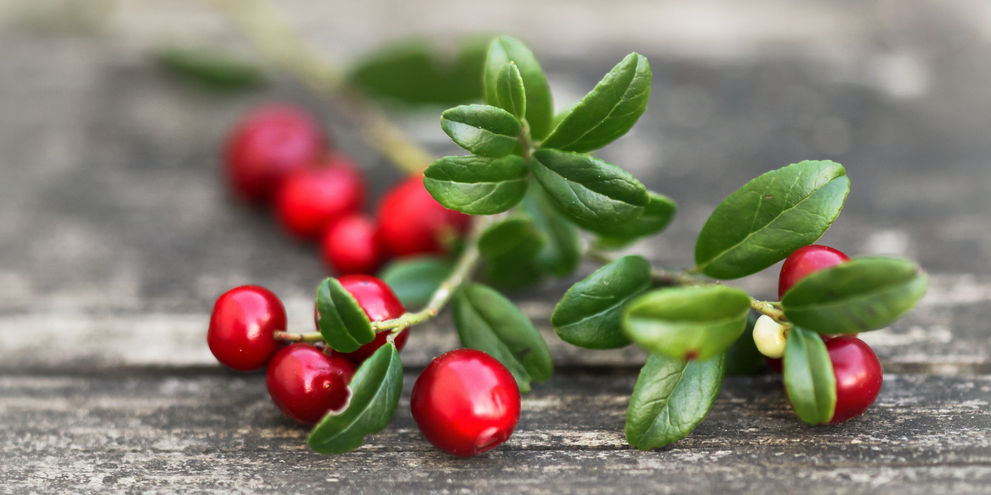 28 Cranberry Recipes You&amp;#39;ll Want To Make Over The Holidays