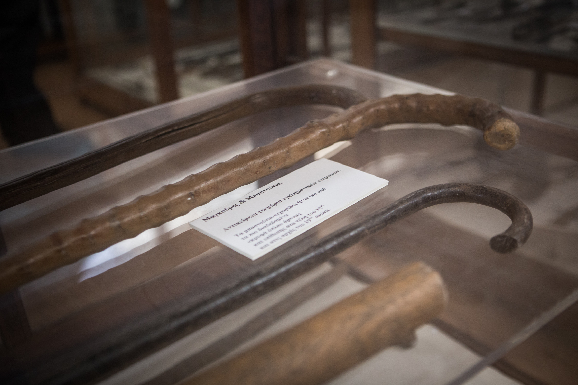 egklimatologiko mouseio