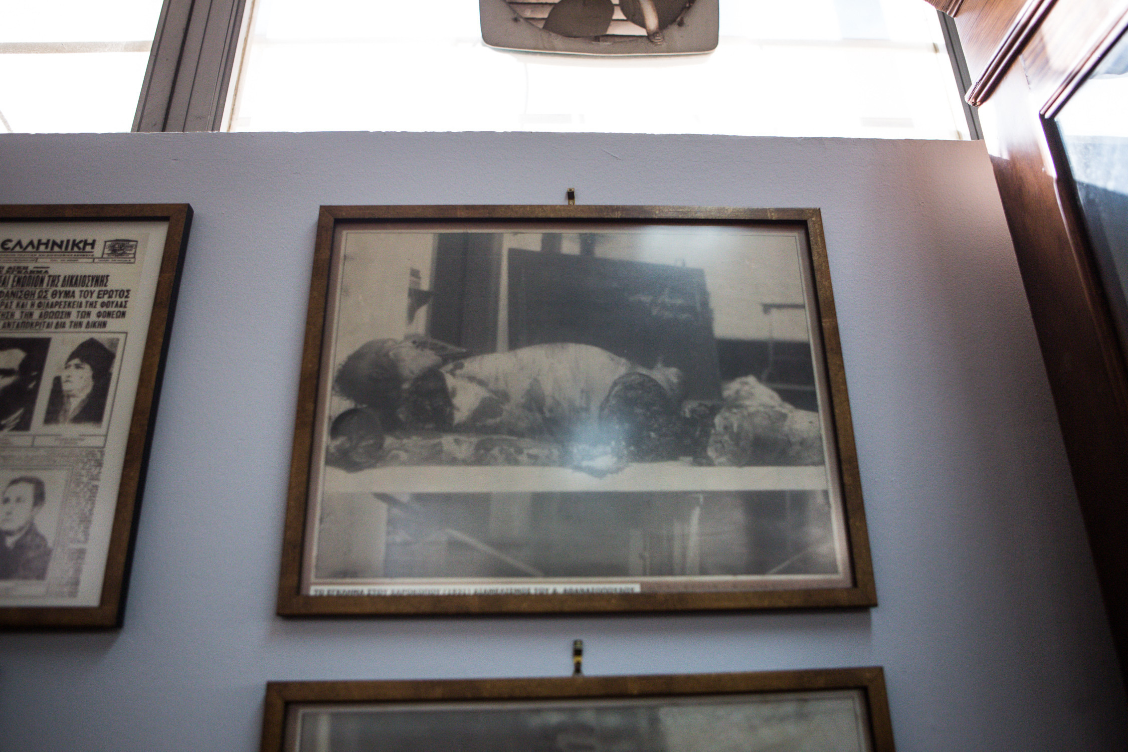 egklimatologiko mouseio