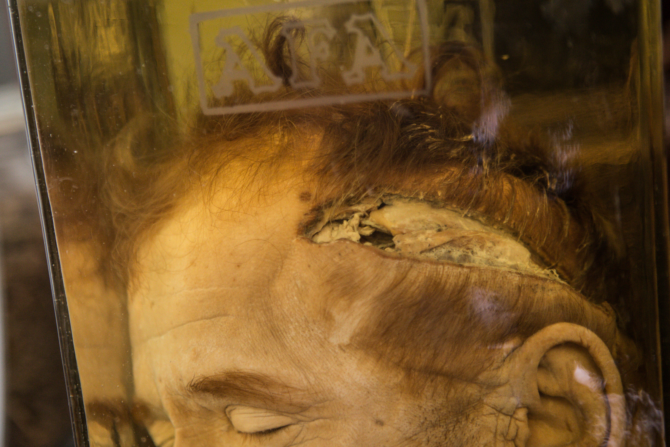 egklimatologiko mouseio