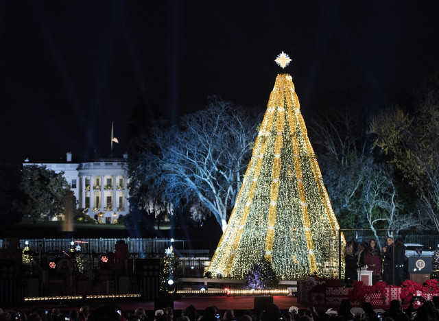 PHOTOS. Les plus beaux sapins de Noël 2015 à travers le monde