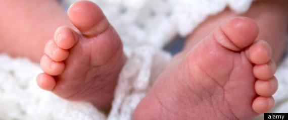 Birth Rate 2010