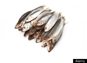 Target Sustainable Seafood