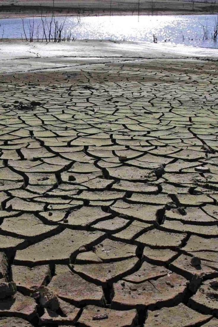 Green Italia Verdi Liguri Vandana Shiva fare La Pace Con La Terra E 