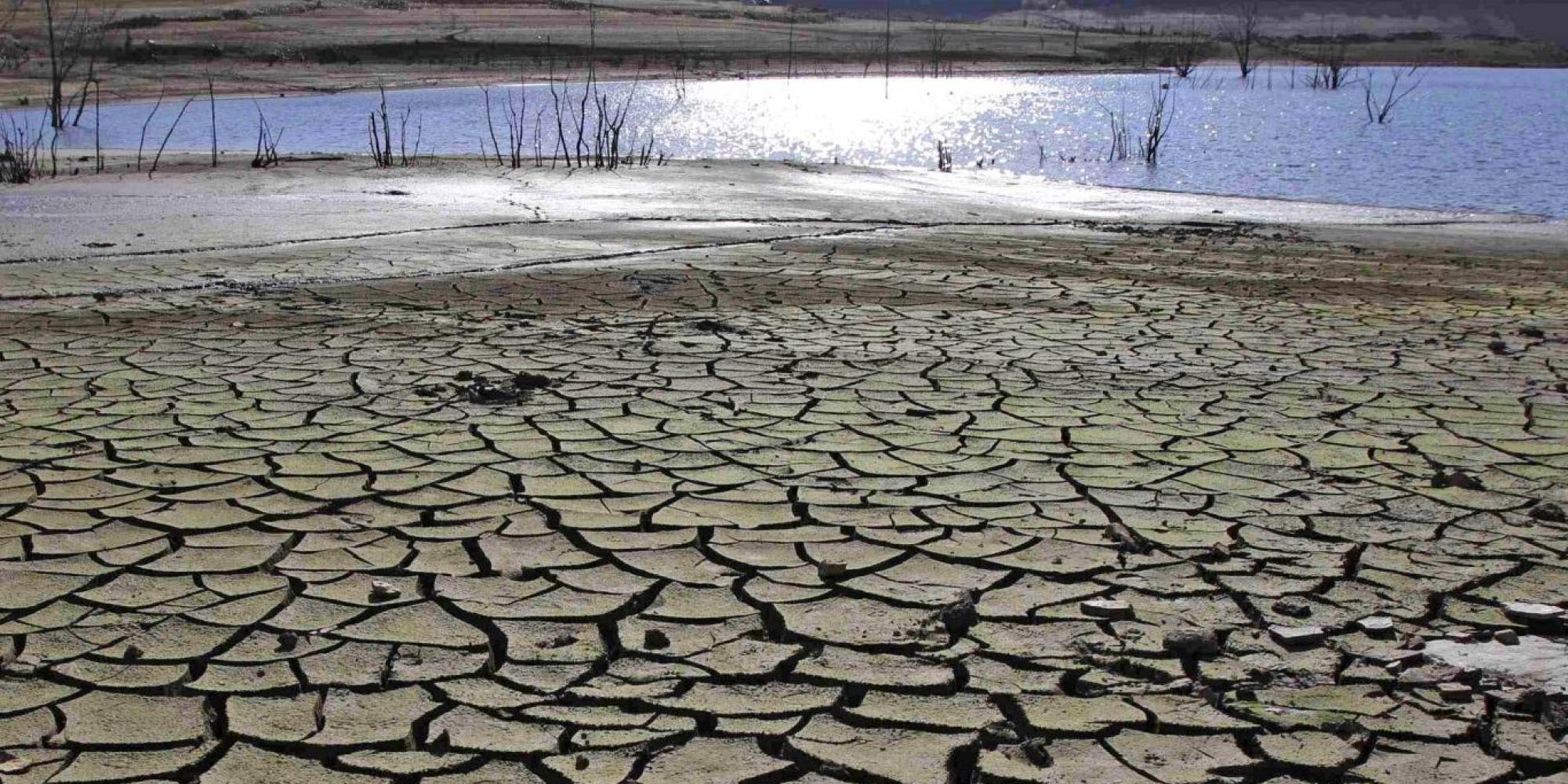 Green Italia Verdi Liguri Vandana Shiva fare La Pace Con La Terra E 