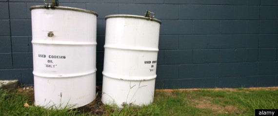 Cooking Oil Drums