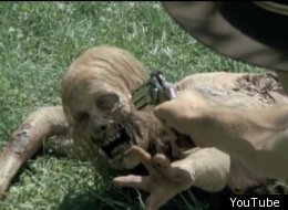 s-THE-WALKING-DEAD-ZOMBIE-KILLS-large.jpg