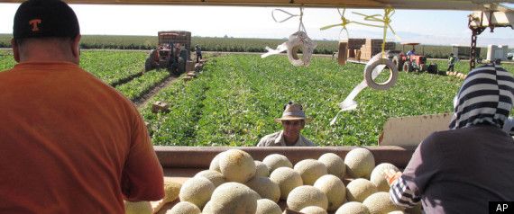 Listeria Cantaloupe California
