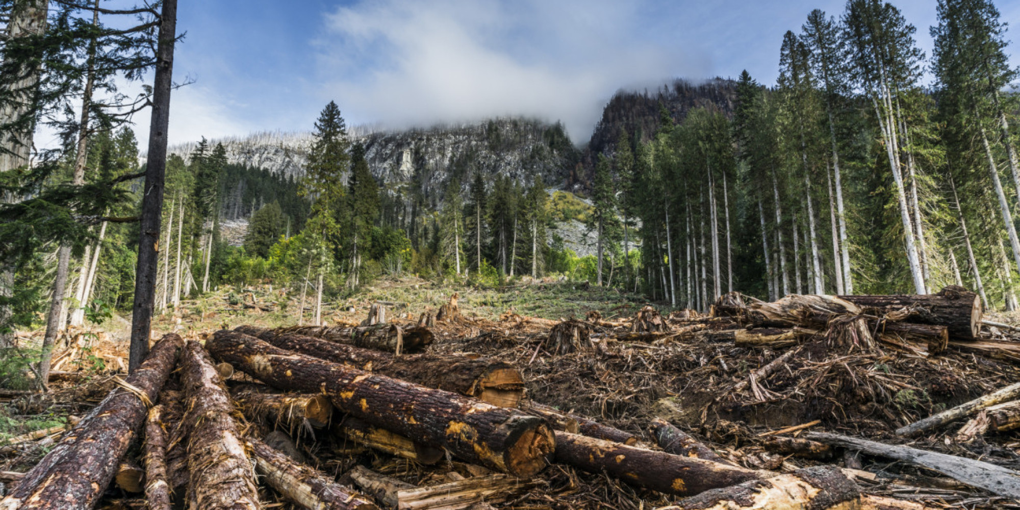 canada-s-natural-resources-have-lost-three-quarters-of-their-value-in