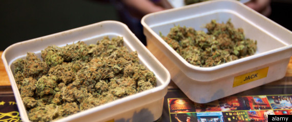 California Doctors Marijuana