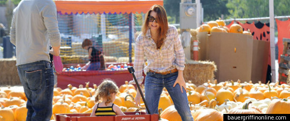 Celebrity Pumpkin Halloween