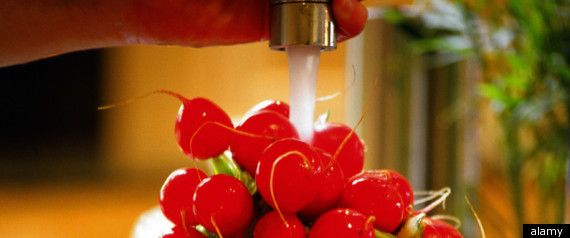 Wash Vegetables