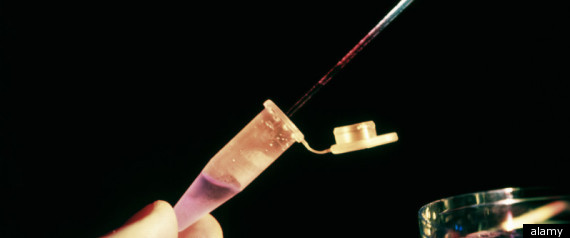 Police Dna Samples