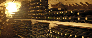 vino