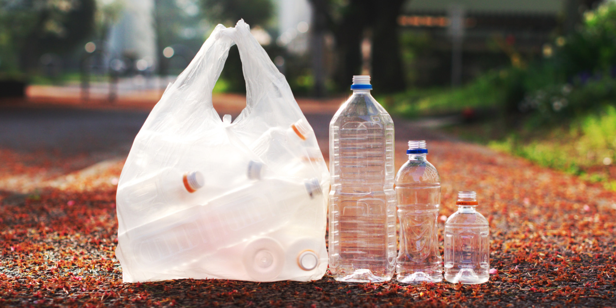 Uttar Pradesh Government Bans Polythene Bags