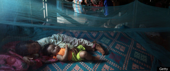 Glaxosmithkline Malaria Vaccine