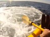 Kayaker Sees Whale