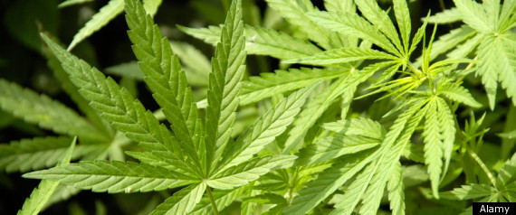 Deportation Officer Arrested