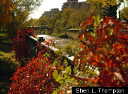 No Time For A Road Trip? See Denver's Fall Colors Instead