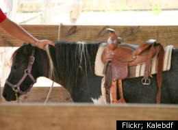 Amusement Parks In Austin: A Huffington Post Travel Guide