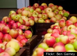 Apple Cider Cocktails (And Mocktails) For Autumn