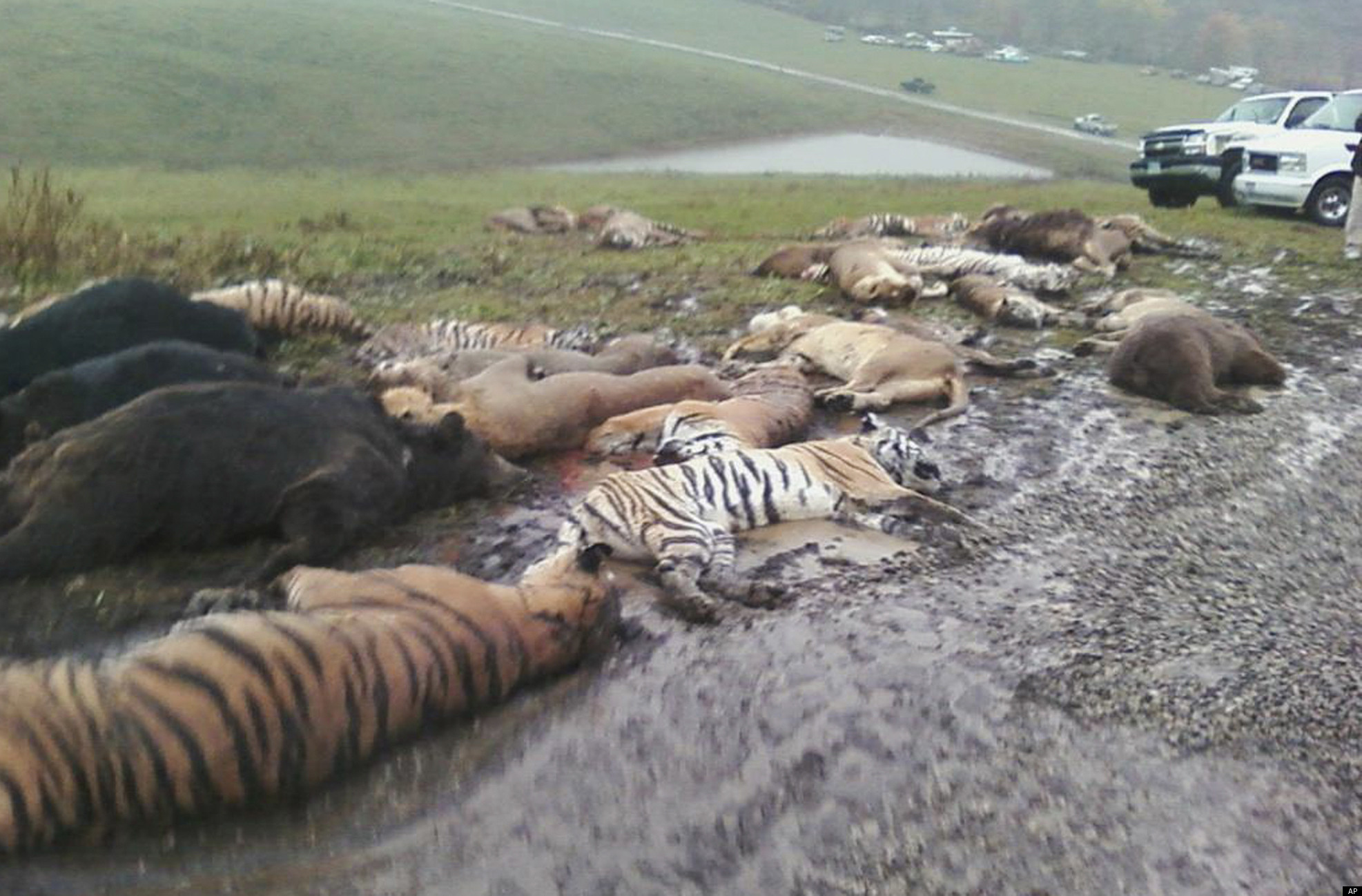 ... muskingum county animal farm wednesday oct 19 2011 in zanesville ohio