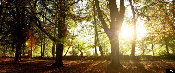 Sunshine October