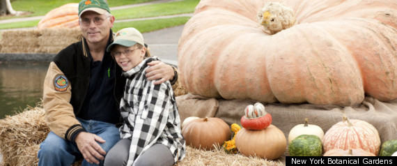 Pumpkin