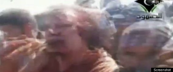 Gaddafi Video