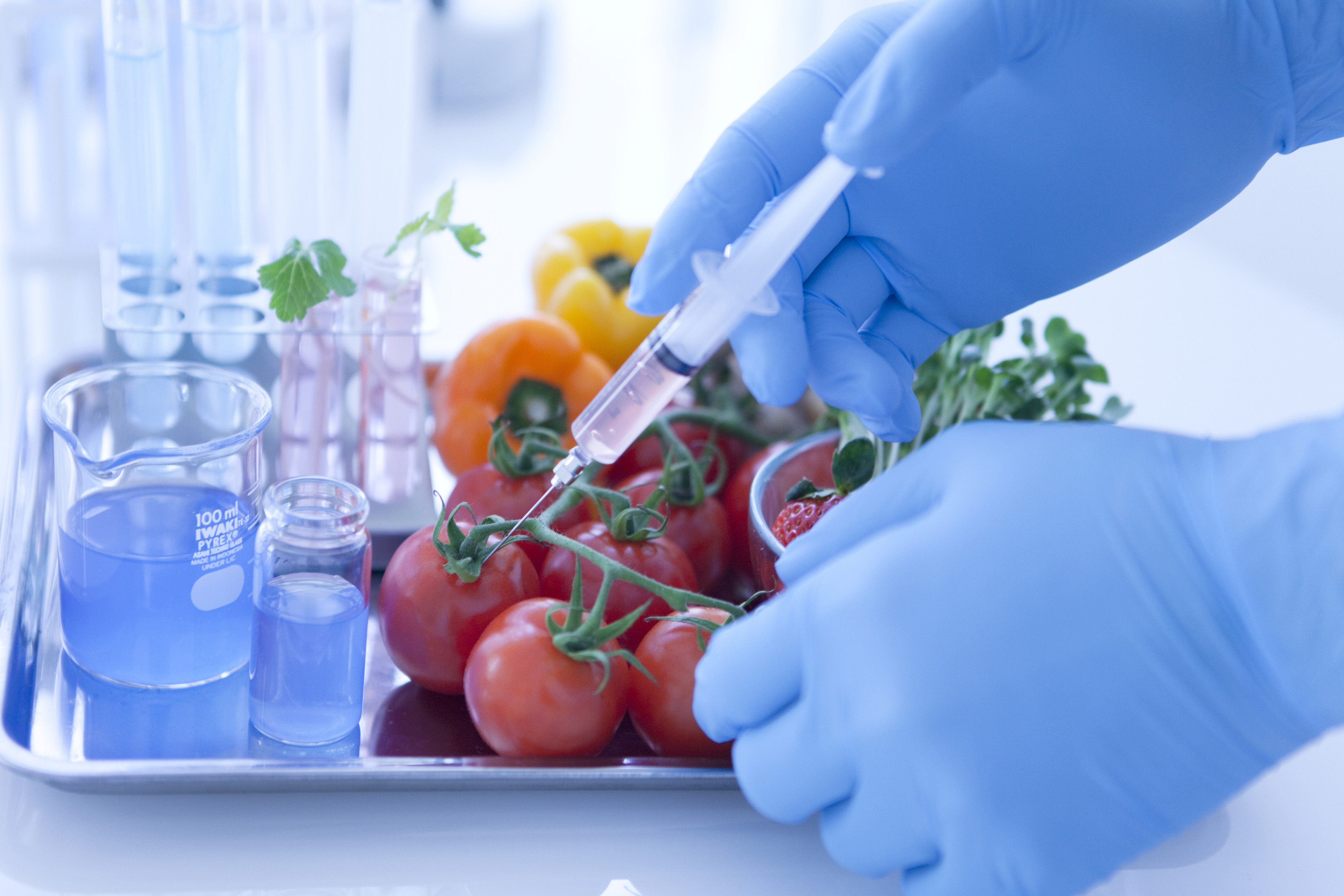 gmo