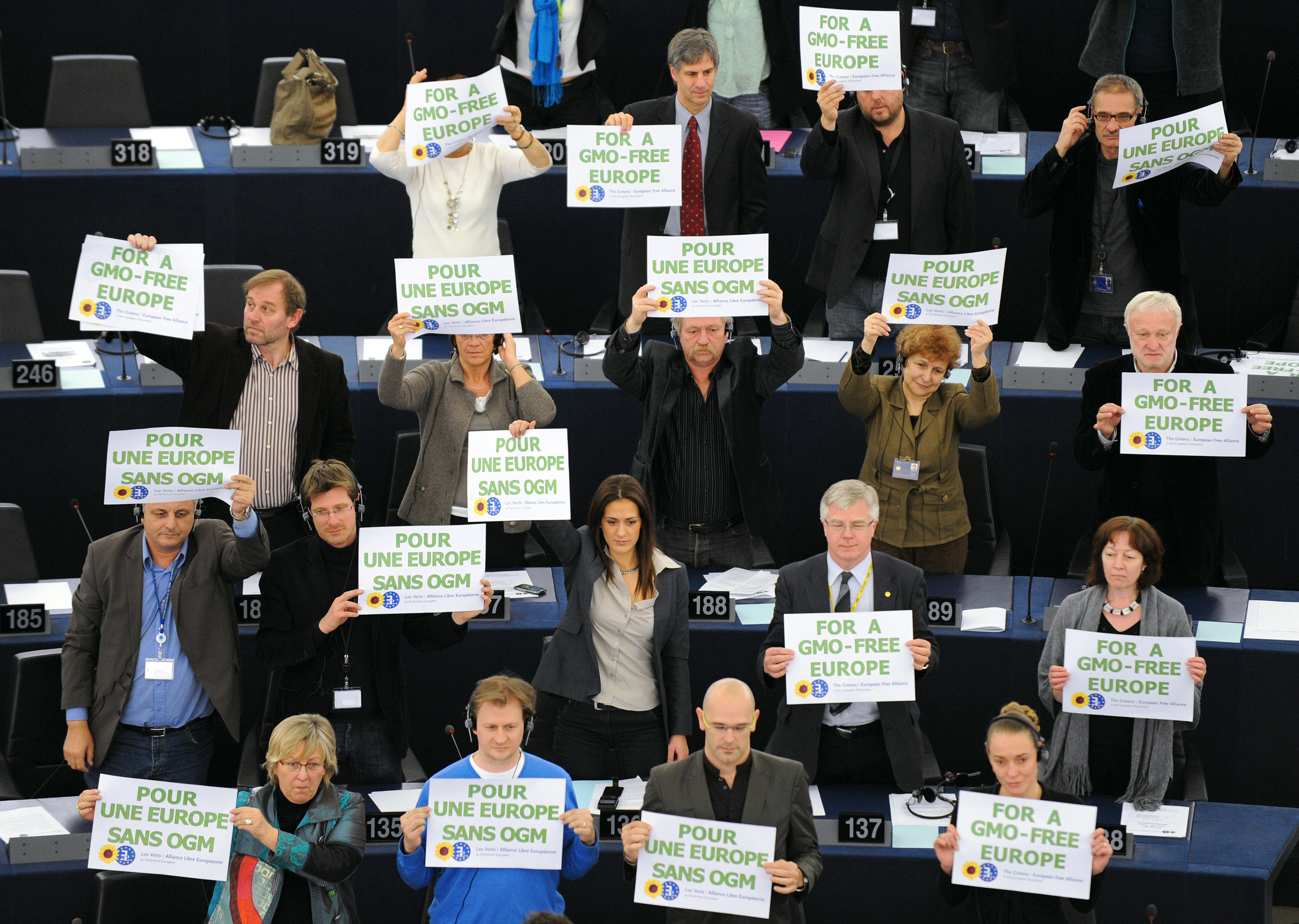 european parliament gmo