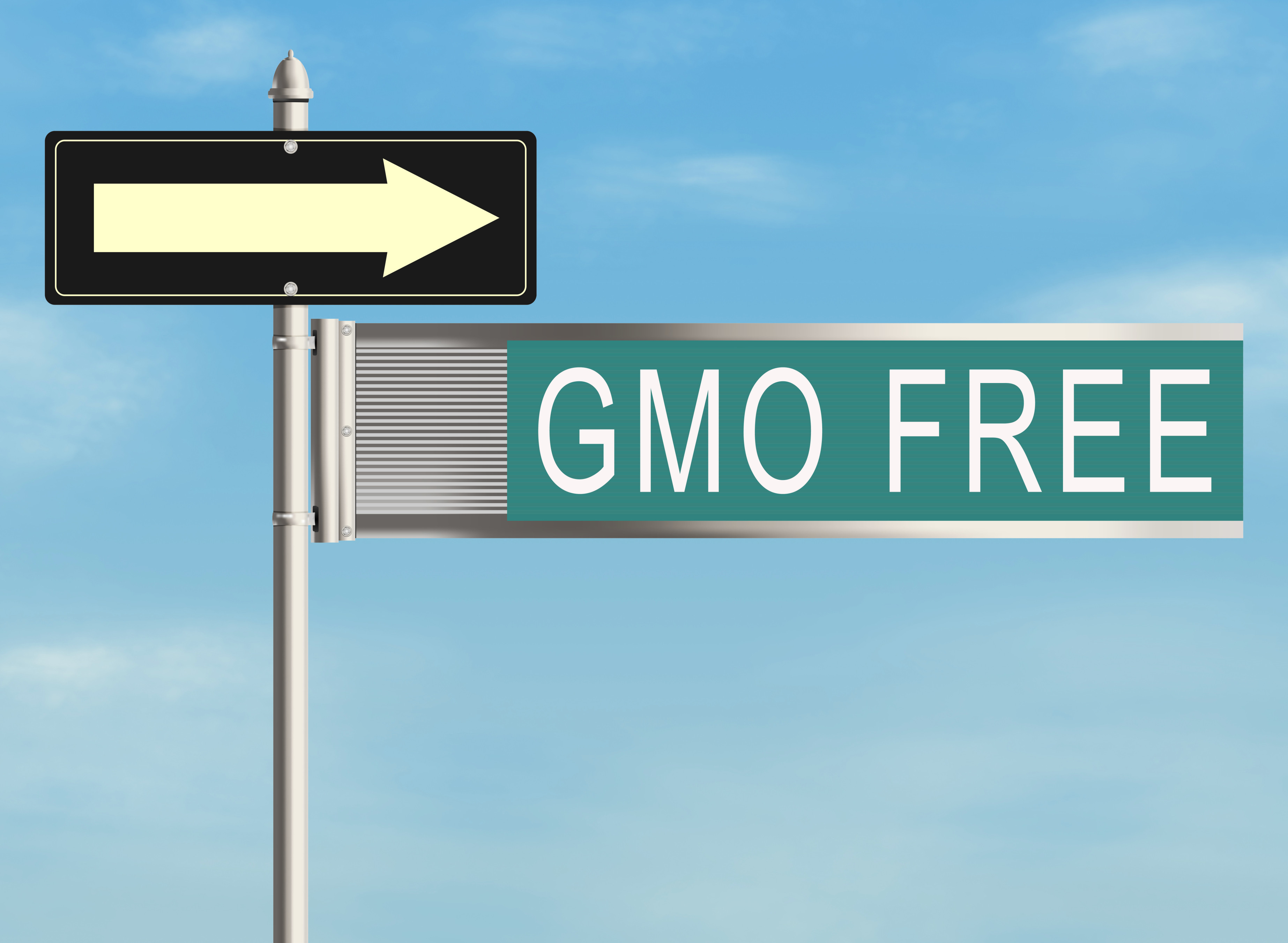 gmo free