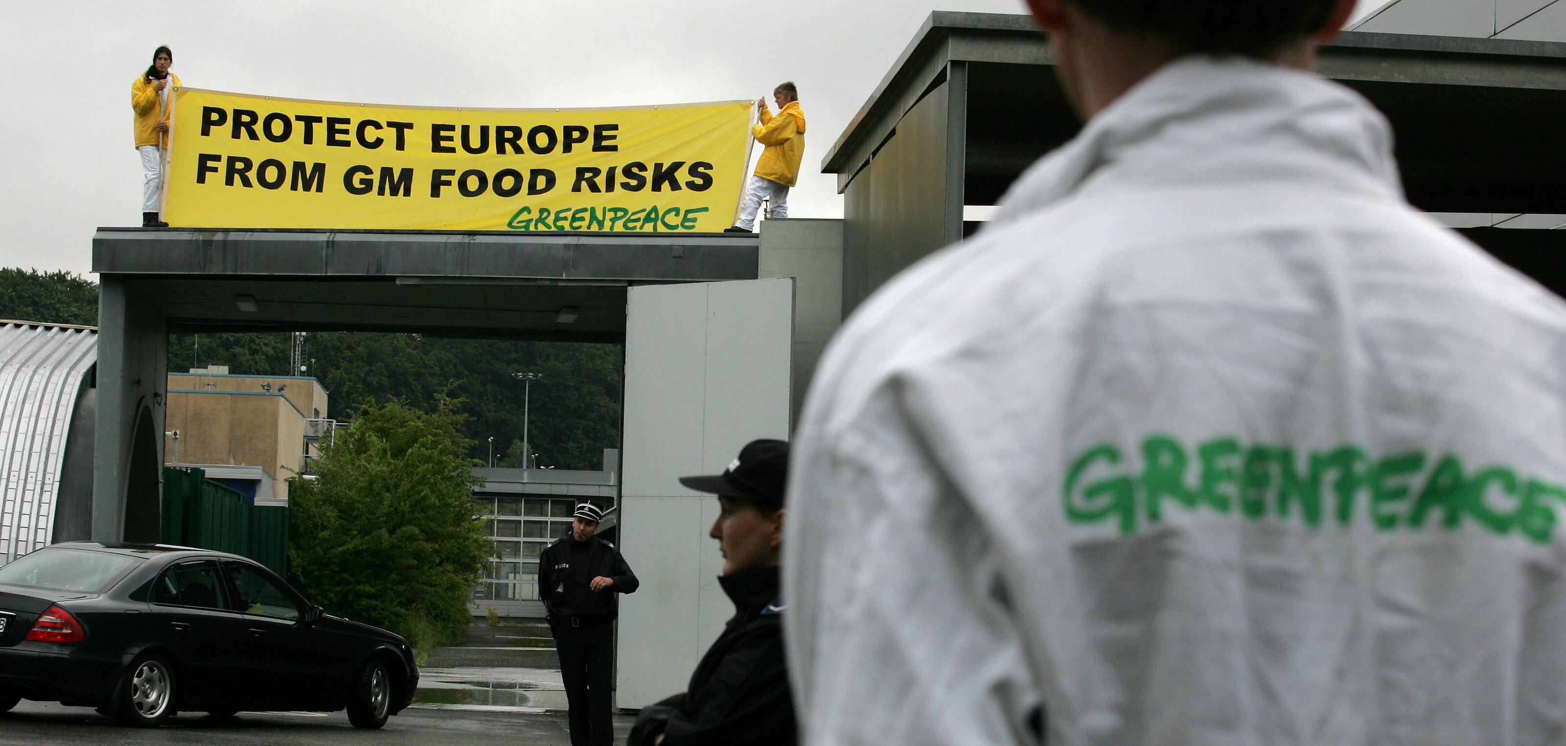 greenpeace gmo