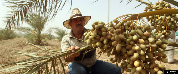 Iraq Economy