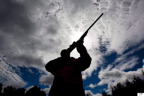 canada firearms