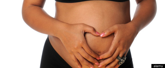 Bpa In Pregnancy