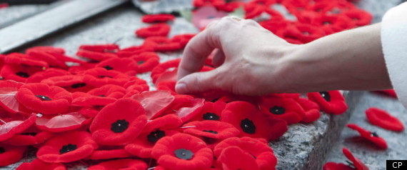 Poppies