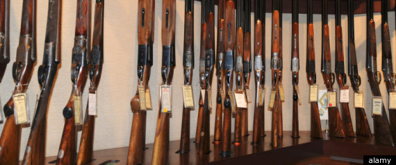 Long Guns