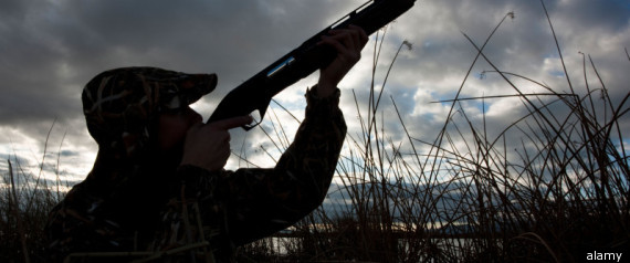 Long Gun