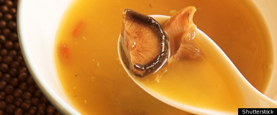 Shark Fin