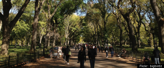 Central Park